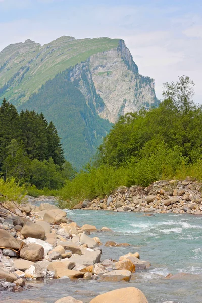 在阿尔卑斯山河流 — 图库照片