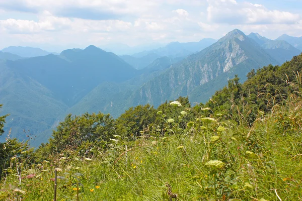 阿尔卑斯山的美丽风景 — 图库照片