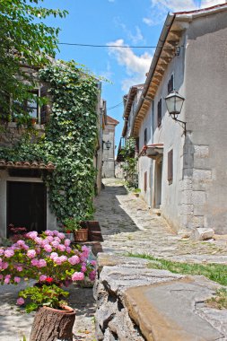 küçük kasaba motovun