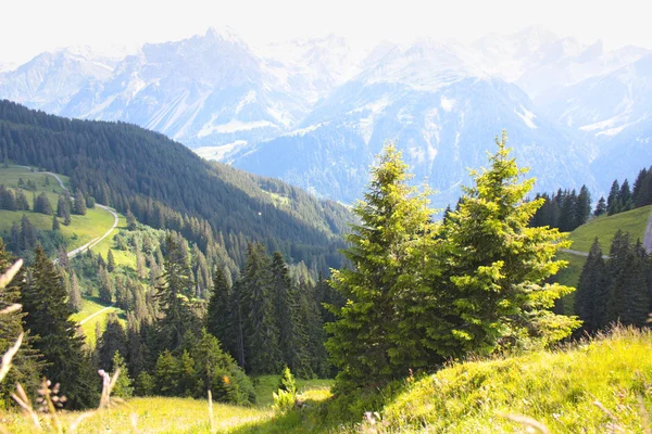 A svájci hegyek — Stock Fotó