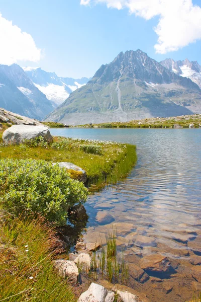 スイス連邦共和国の湖や山々 — ストック写真