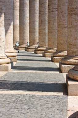 Colonnade piazza san pietro içinde