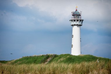 küçük deniz feneri