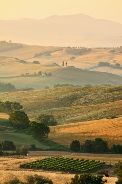 campiña italiana de la Toscana