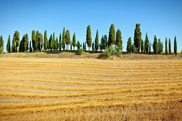 Типовий ландшафт Тоскана — стокове фото