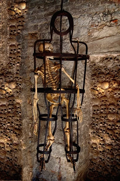 Mänskliga skelettet instängd i en bur — Stockfoto