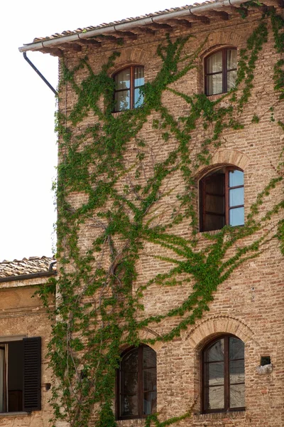 Pintoresco rincón de la Toscana —  Fotos de Stock