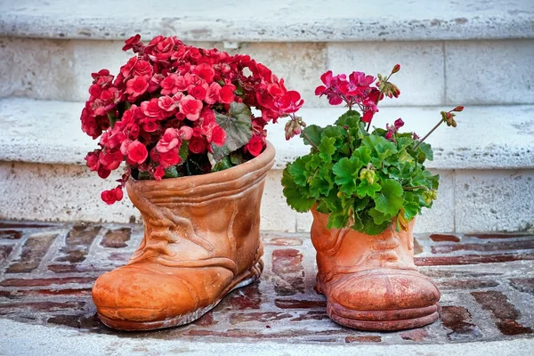 Flower-shaped shoes and flowers — Stock Photo, Image