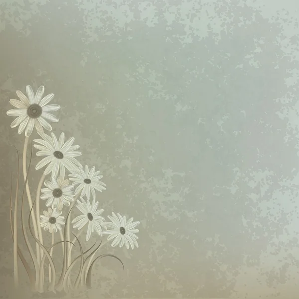 Abstrakte florale Hintergrund mit Kamille — Stockvektor