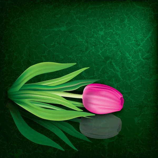 Abstrakte florale Illustration mit Tulpe — Stockvektor
