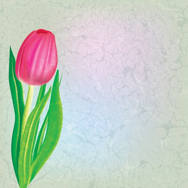 Gambar bunga abstrak dengan tulip merah - Stok Vektor