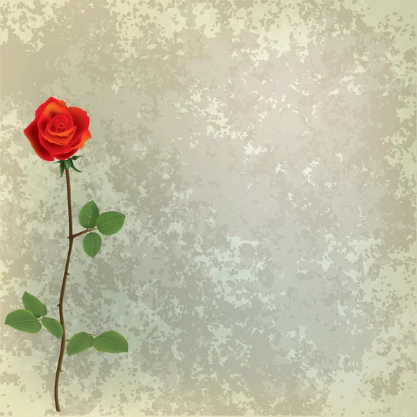 Astratto grunge sfondo floreale con rosa rossa — Vettoriale Stock