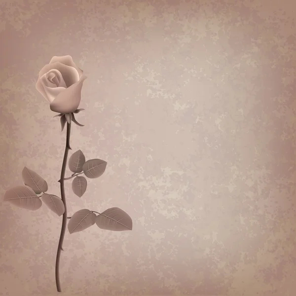 Astratto grunge sfondo floreale con rosa — Vettoriale Stock
