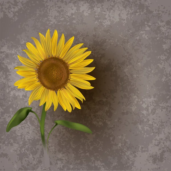 抽象 grunge 花卉背景与向日葵 — 图库矢量图片