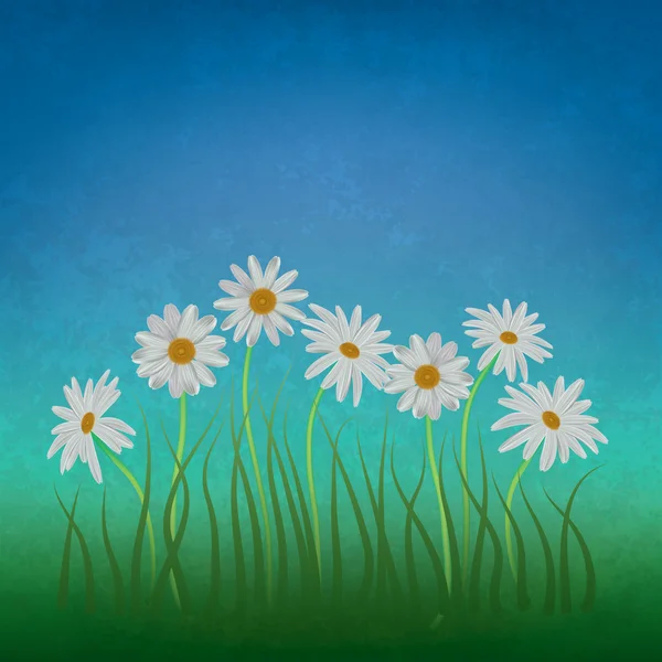 抽象花卉背景与 chamomiles — 图库矢量图片
