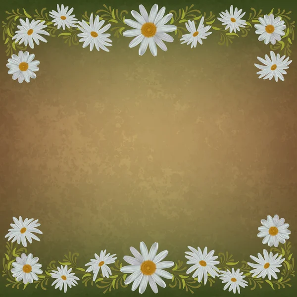 Abstracte grunge floral achtergrond met chamomiles — Stockvector