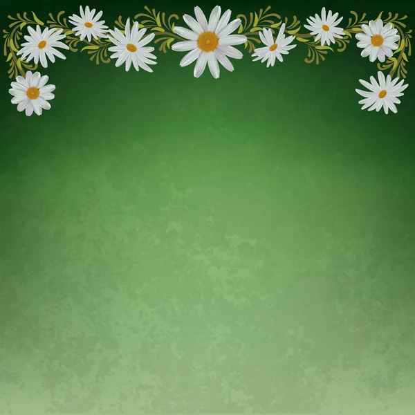 Abstrakte florale Hintergrund mit Kamille — Stockvektor