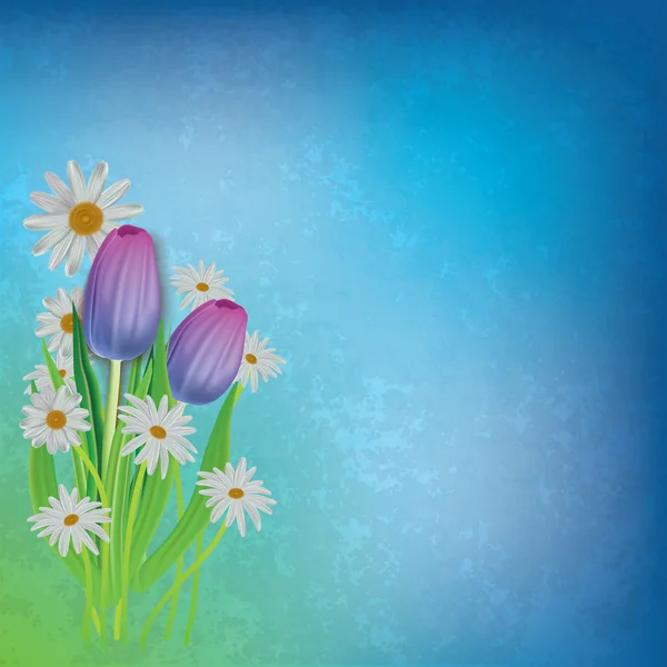 Resumo fundo floral com tulipas e camomilas — Vetor de Stock