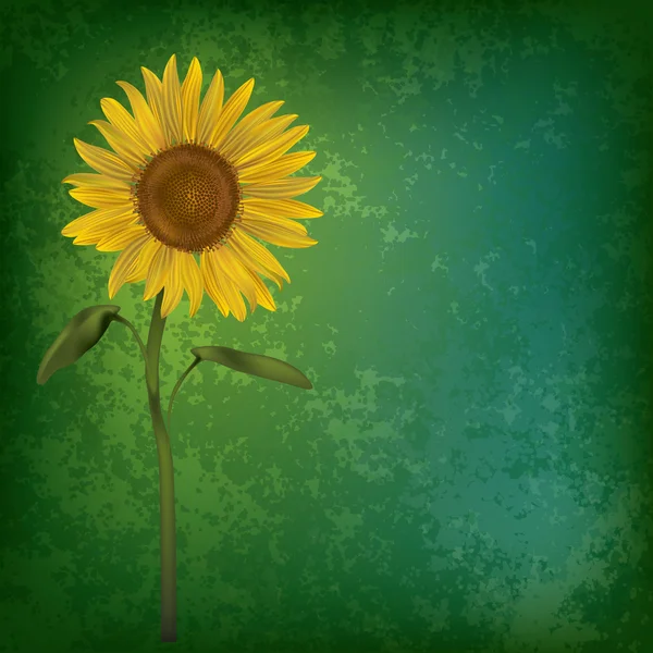 Streszczenie kwiatowy nieczysty ze słonecznikiem — Wektor stockowy