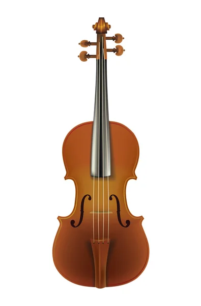 Klassische Geige isoliert auf einer weißen — Stockvektor