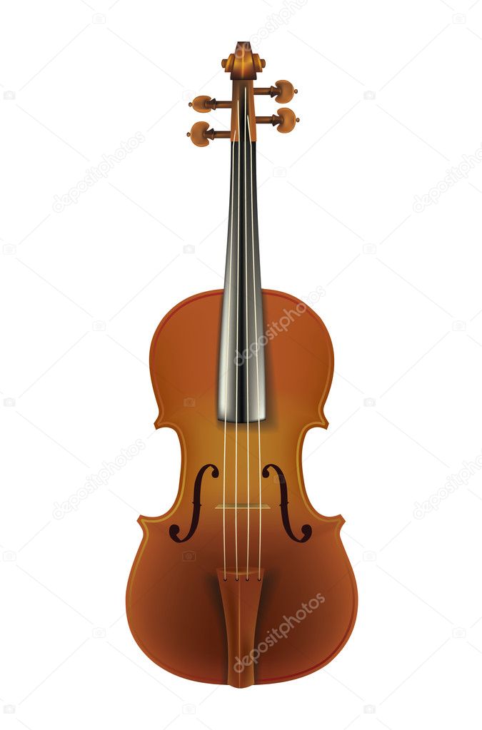 classic violin isolated on a white