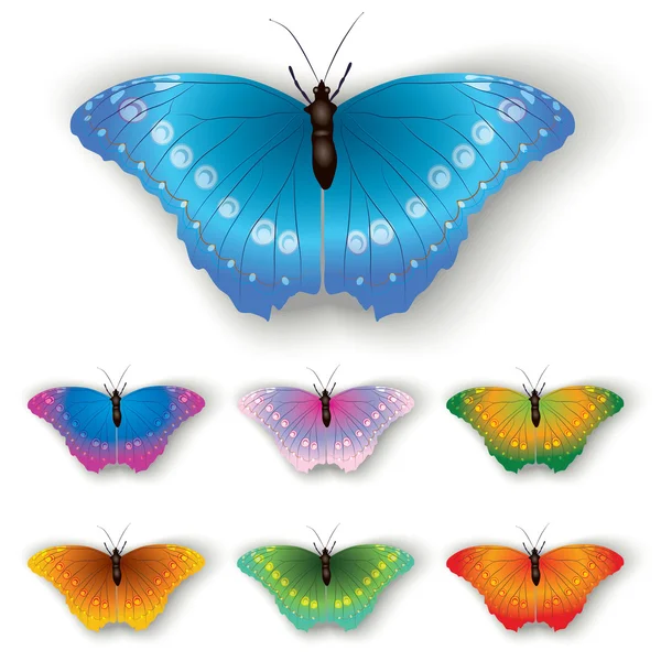 Kleur vlinder geïsoleerd op een witte — Stockvector
