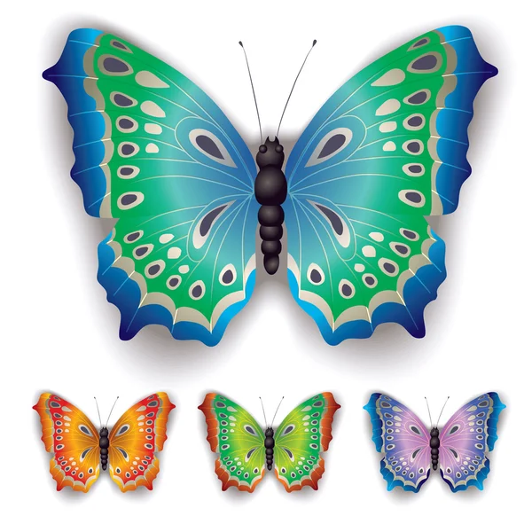 Kleur vlinder geïsoleerd op een witte — Stockvector