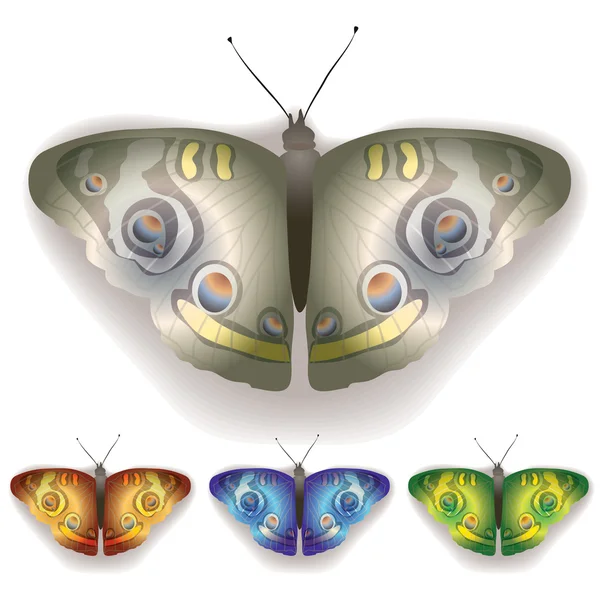 Farve sommerfugl isoleret på en hvid – Stock-vektor