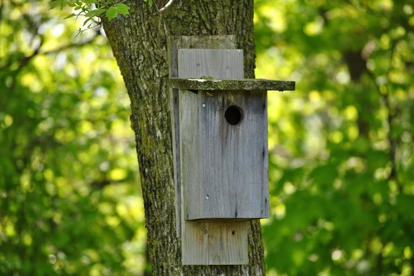 Bird`s Nest Box — Stock Photo, Image