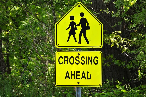 stock image School Crossing Sign