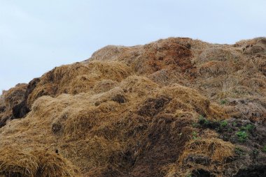 bir çiftlikte saman yığını