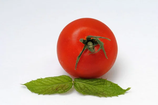 Tomate y menta — Foto de Stock