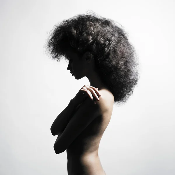 壮大な髪の美しい女性 — ストック写真