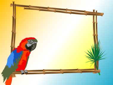 Parrot clipart