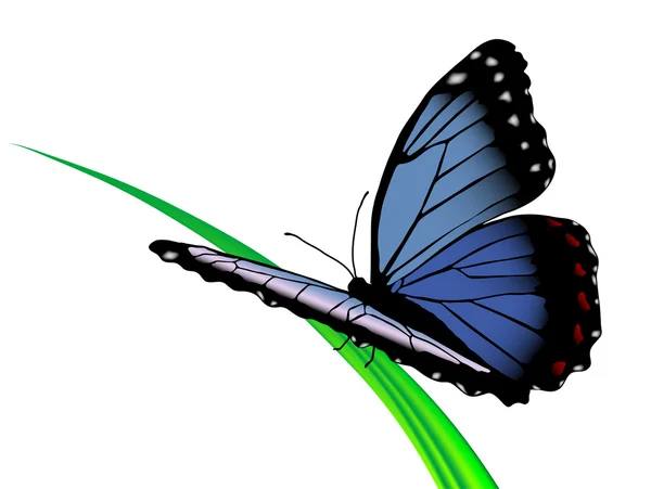 Kék pillangó — Stock Vector