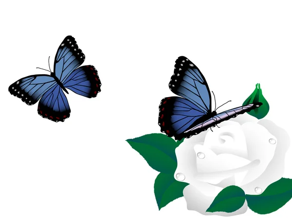 蓝蝴蝶 — 图库矢量图片