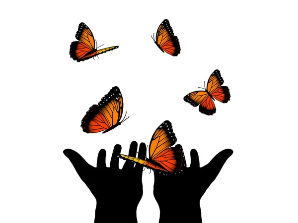 Pomarańczowy motyli — Wektor stockowy