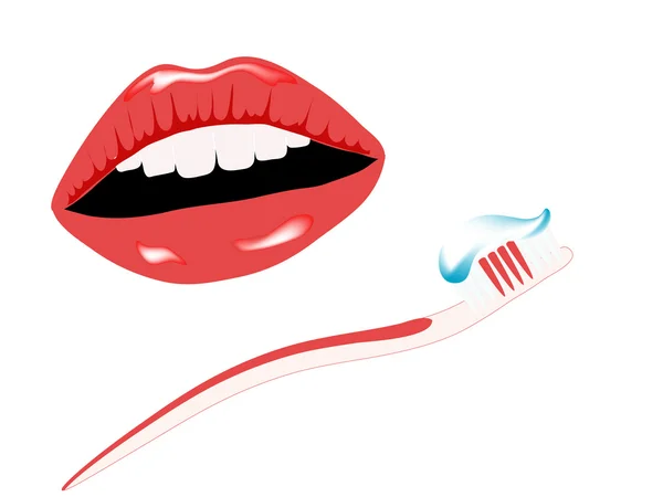 Gülümseme ve diş fırçası — Stok Vektör
