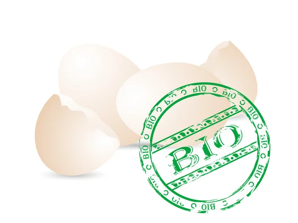 Bio eieren — Stockvector