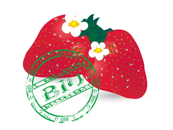 Bio aardbeien — Stockvector