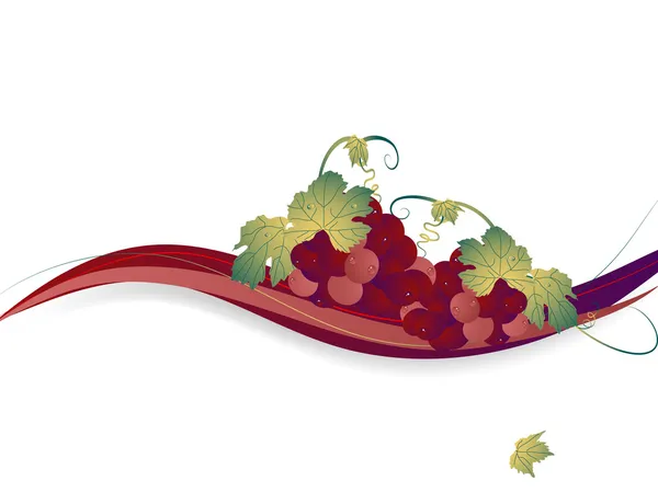 Grapes background — Stock Vector