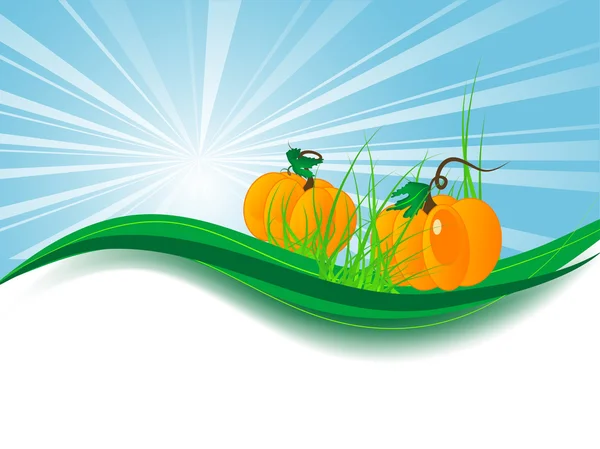 Pumpkins in grass — Stock Vector