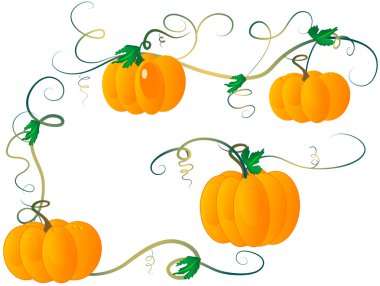 Pumpkins clipart