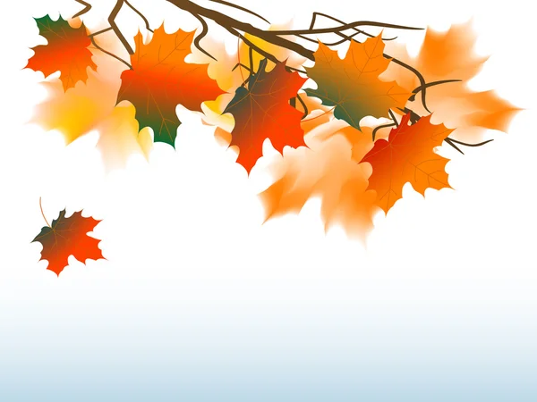 Hojas de otoño — Vector de stock