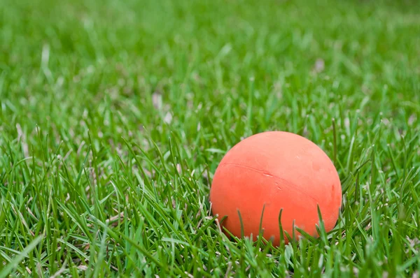 Laranja bola de lacrosse na grama — Fotografia de Stock
