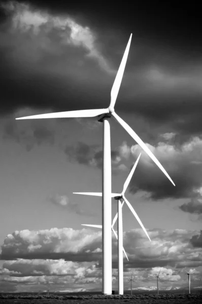 stock image Wind turbines atop a hill - black and white