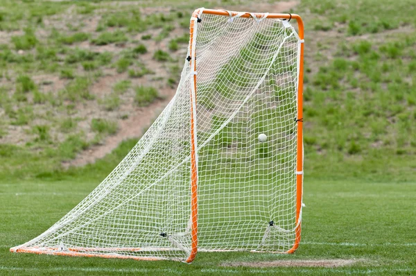 Lacrosse ball in net for a goal — Stock Photo, Image