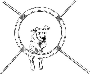 Dog agility clipart