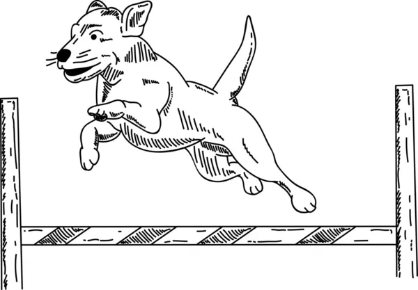 犬の敏捷 — ストックベクタ