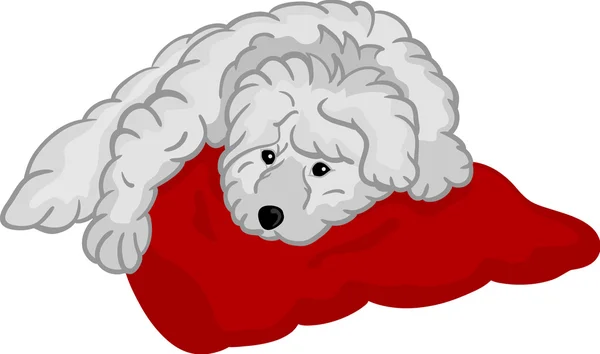Pequeno cachorro deitado na almofada —  Vetores de Stock